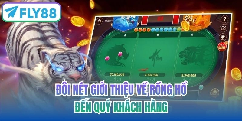 Đôi nét giới thiệu về Rồng Hổ đến người chơi